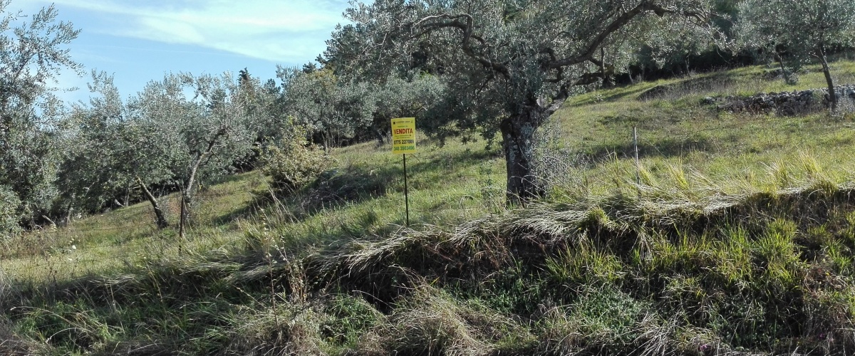 Terreno Agricolo