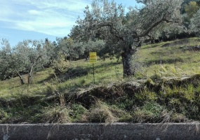 Fumone, Lazio, ,Agricolo,in Vendita