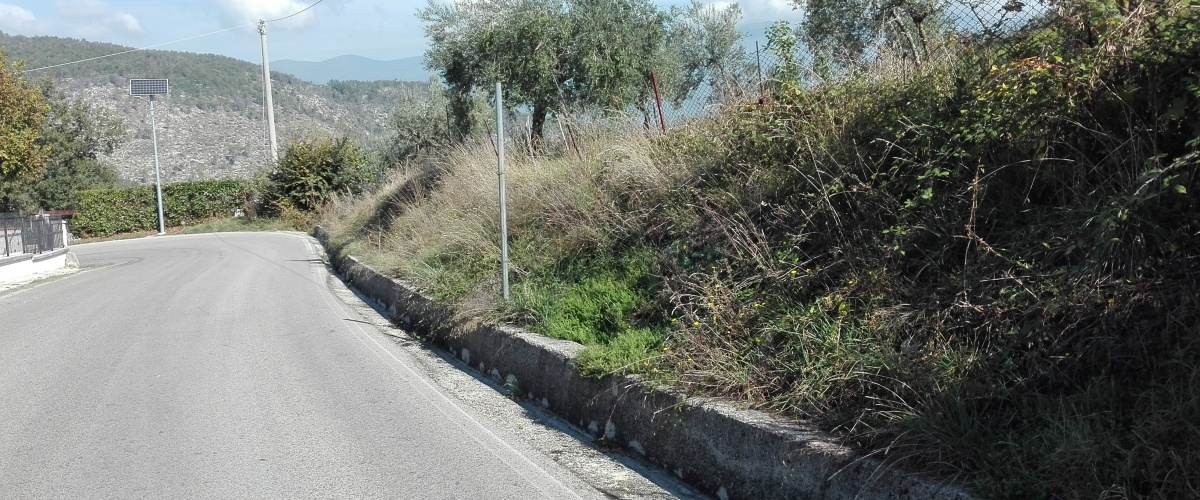 Fumone, Lazio, ,Agricolo,in Vendita