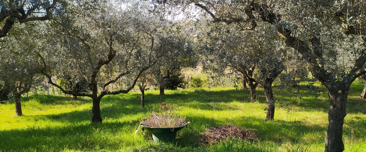 Ferentino, Lazio, ,Indipendente,in Vendita