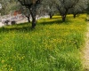 Ferentino, Lazio, ,Semi Indipendente,in Vendita