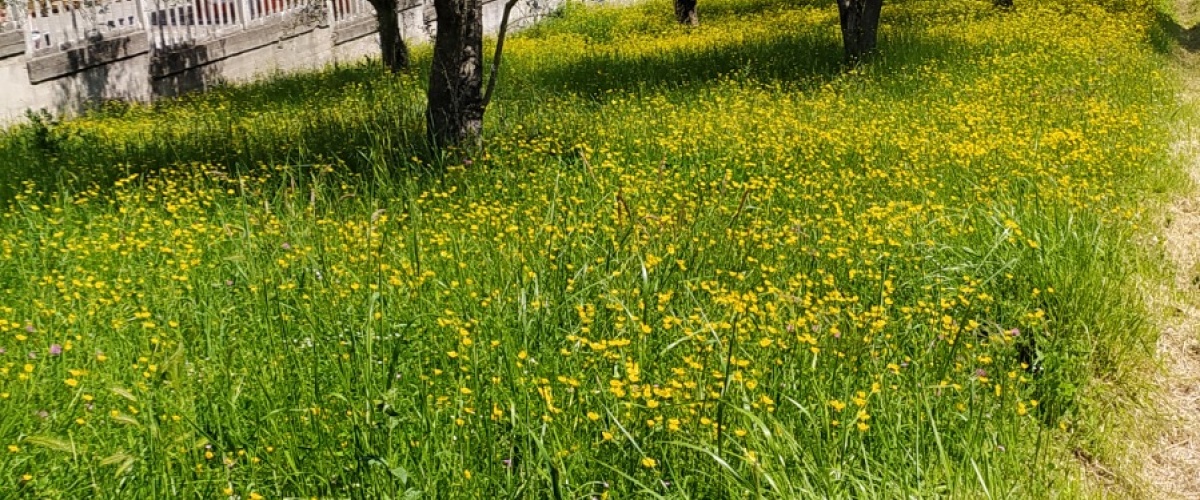 Ferentino, Lazio, ,Semi Indipendente,in Vendita
