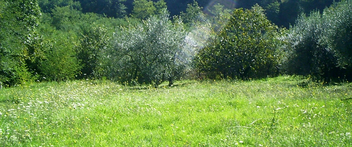 Supino, Lazio 03019, ,Indipendente,in Vendita