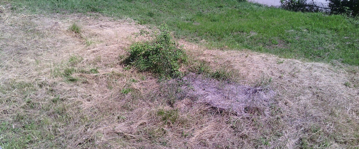 Supino, Lazio 03019, ,Indipendente,in Vendita